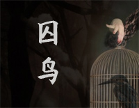 囚鸟-原版钢琴谱文件(五线谱、双手简谱、数字谱、Midi、PDF)免费下载