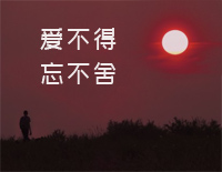 爱不得忘不舍-原调简单版-我们的关系进一步没资格-抖音钢琴谱文件(五线谱、双手简谱、数字谱、Midi、PDF)免费下载
