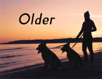 Older-Ben Platt钢琴谱文件(五线谱、双手简谱、数字谱、Midi、PDF)免费下载