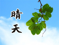 晴天-原调简单版-周杰伦钢琴谱文件(五线谱、双手简谱、数字谱、Midi、PDF)免费下载