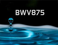 BWV 875-巴赫平均律钢琴曲集钢琴谱文件(五线谱、双手简谱、数字谱、Midi、PDF)免费下载