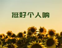 挺好个人呐-C调简单版-我和我的家乡推广曲钢琴谱文件(五线谱、双手简谱、数字谱、Midi、PDF)免费下载