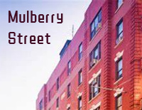 Mulberry Street-Twenty One Pilots钢琴谱文件(五线谱、双手简谱、数字谱、Midi、PDF)免费下载