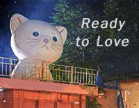 Ready to Love-Seventeen钢琴谱文件(五线谱、双手简谱、数字谱、Midi、PDF)免费下载