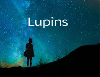 Lupins-AniFace钢琴谱文件(五线谱、双手简谱、数字谱、Midi、PDF)免费下载