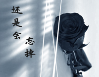 还是会忘掉-C调简单版-你终于还是忘掉对你的好钢琴谱文件(五线谱、双手简谱、数字谱、Midi、PDF)免费下载