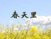 春天里钢琴谱文件(五线谱、双手简谱、数字谱、Midi、PDF)免费下载
