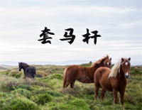 套马杆-C调简单版钢琴谱文件（五线谱、双手简谱、数字谱、Midi、PDF）免费下载
