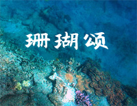 珊瑚颂-C调简单版-红珊瑚主题曲钢琴谱文件（五线谱、双手简谱、数字谱、Midi、PDF）免费下载