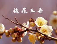梅花三弄钢琴谱文件(五线谱、双手简谱、数字谱、Midi、PDF)免费下载
