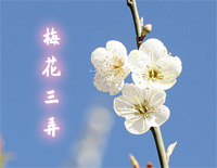 梅花三弄-好听版钢琴谱文件(五线谱、双手简谱、数字谱、Midi、PDF)免费下载