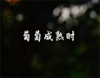 葡萄成熟时-C调简单版-陈奕迅钢琴谱文件(五线谱、双手简谱、数字谱、Midi、PDF)免费下载