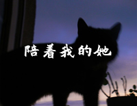 陪着我的她-石进钢琴谱文件(五线谱、双手简谱、数字谱、Midi、PDF)免费下载