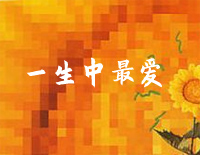 一生中最爱-C调简单版-双城故事主题曲钢琴谱文件(五线谱、双手简谱、数字谱、Midi、PDF)免费下载
