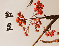 红豆-完美版钢琴谱文件(五线谱、双手简谱、数字谱、Midi、PDF)免费下载