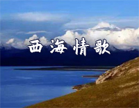 西海情歌-C调简单版-抖音热歌钢琴谱文件(五线谱、双手简谱、数字谱、Midi、PDF)免费下载