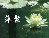 萍聚-好听版钢琴谱文件(五线谱、双手简谱、数字谱、Midi、PDF)免费下载