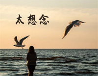 太想念-简单版-我对你太想念太想念-抖音钢琴谱文件(五线谱、双手简谱、数字谱、Midi、PDF)免费下载