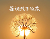 簇拥烈日的花-C调简单版-我的心是簇拥烈日的花在你的眼里找到了家钢琴谱文件（五线谱、双手简谱、数字谱、Midi、PDF）免费下载