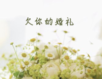 欠你的婚礼-简单版-我欠你一场婚礼用星光铺满草地钢琴谱文件(五线谱、双手简谱、数字谱、Midi、PDF)免费下载