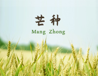 芒种-完美版钢琴谱文件(五线谱、双手简谱、数字谱、Midi、PDF)免费下载