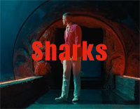 Sharks-Imagine Dragons钢琴谱文件(五线谱、双手简谱、数字谱、Midi、PDF)免费下载