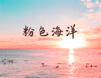 粉色海洋-周杰伦钢琴谱文件(五线谱、双手简谱、数字谱、Midi、PDF)免费下载
