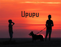 Upupu-抖音洗脑神曲钢琴谱文件（五线谱、双手简谱、数字谱、Midi、PDF）免费下载