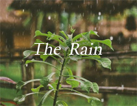 The Rain-C调简单版-菊次郎的夏天OST钢琴谱文件(五线谱、双手简谱、数字谱、Midi、PDF)免费下载