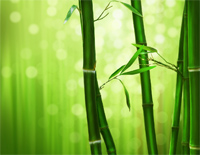 紫竹调-Purple Bamboo Tune钢琴谱文件(五线谱、双手简谱、数字谱、Midi、PDF)免费下载