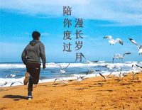 陪你度过漫长岁月-完整版钢琴谱文件(五线谱、双手简谱、数字谱、Midi、PDF)免费下载