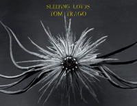 Sleeping Lotus-睡莲-Joep Beving钢琴谱文件(五线谱、双手简谱、数字谱、Midi、PDF)免费下载