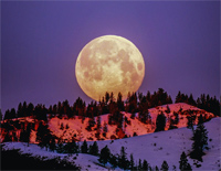 Rises the Moon-Liana Flores钢琴谱文件(五线谱、双手简谱、数字谱、Midi、PDF)免费下载