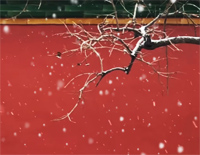 雪落下的声音-完美演奏版钢琴谱文件(五线谱、双手简谱、数字谱、Midi、PDF)免费下载