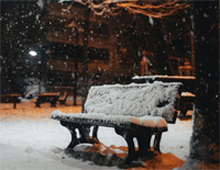 雪 Distance-简单版-可是雪飘进双眼 看不见你桥牌的谎言钢琴谱文件(五线谱、双手简谱、数字谱、Midi、PDF)免费下载