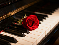 卡农-Canon-三声部简单版-人人钢琴网