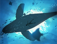 漩涡-‌好听版-陈辉阳 彭羚 黄耀明-人人钢琴网