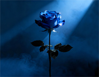 心被回忆刺伤-陈墨一-人人钢琴网