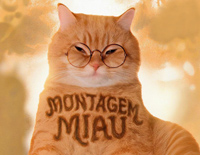 Montagem Miau-Lenar-人人钢琴网